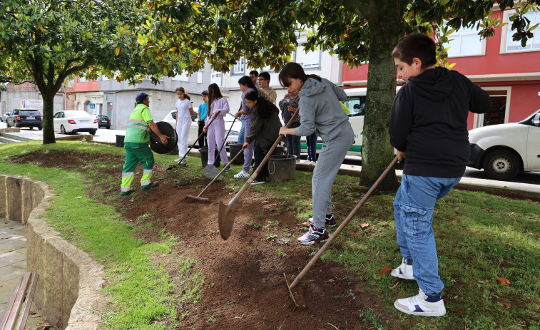 Los escolares aprenden a cuidar los jardines en Carballo