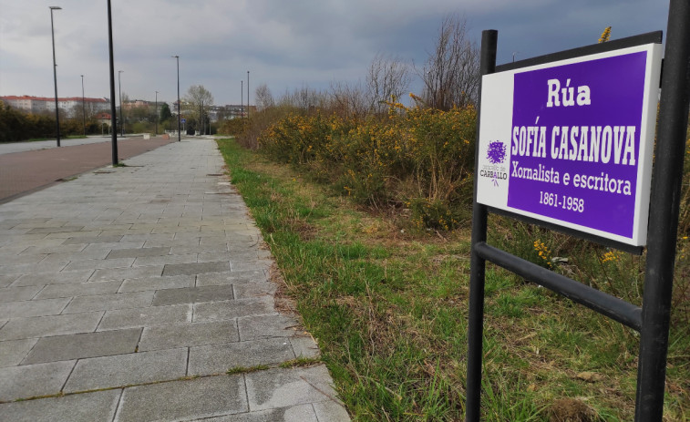 Carballo ofrecerá una parcela a la Xunta para la construcción de vivienda pública