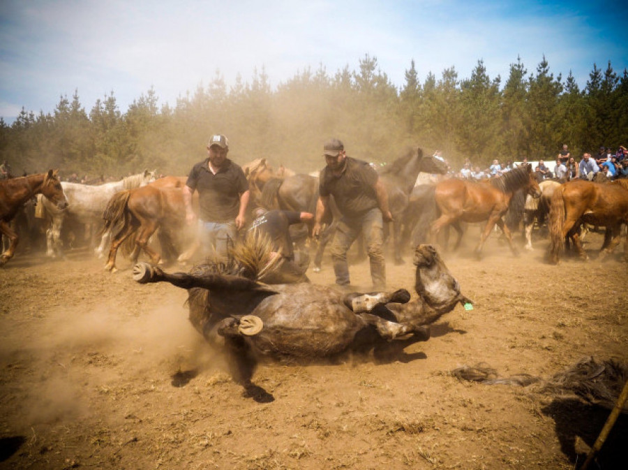 Los caballos salvajes no pudieron arrastrarme