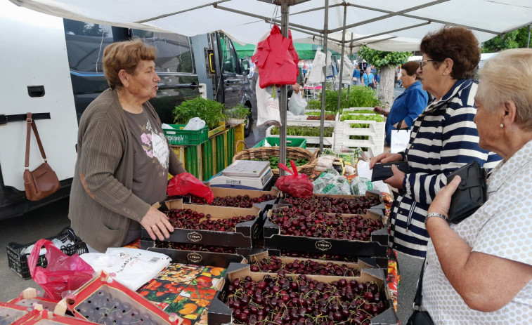El precio del kilo de cereza del Valle del Jerte osciló en la feria de Paiosaco entre 4 y 8 euros