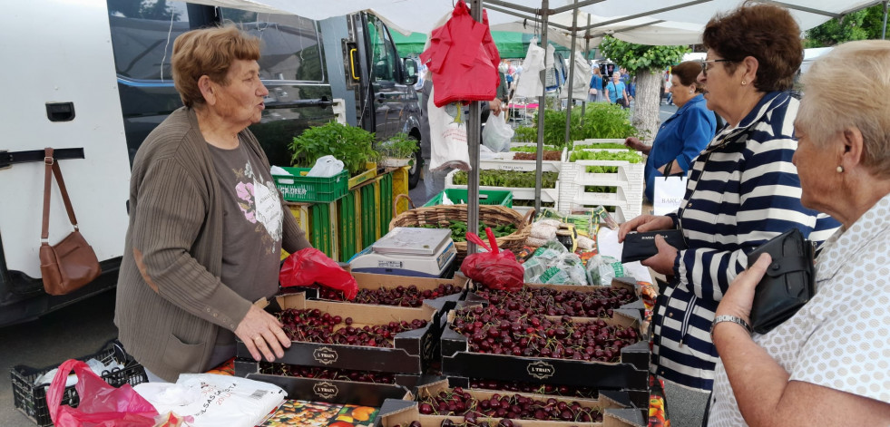 El precio del kilo de cereza del Valle del Jerte osciló en la feria de Paiosaco entre 4 y 8 euros