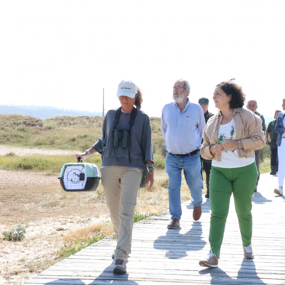 La Xunta alerta sobre los peligros de la píllara das dunas