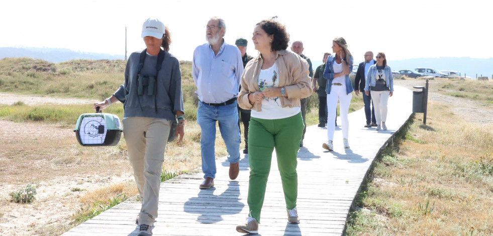 La Xunta alerta sobre los peligros de la píllara das dunas
