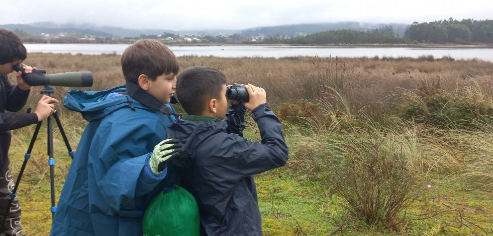 Clausurada la Escola Ambiental de Senda Nova