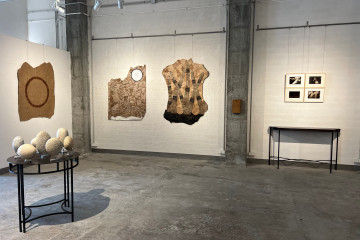 IMG 2055