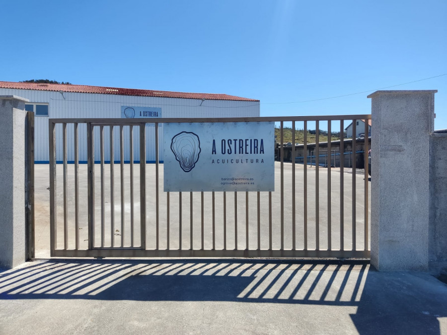 A Ostreira invertirá medio millón de euros en potenciar su planta acuícola emplazada en Barizo