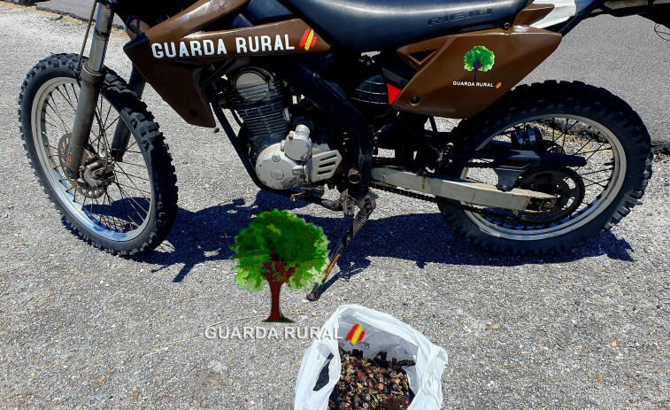 La Guardia Rural decomisó unos ocho kilos de percebe en Corme en el último trimestre