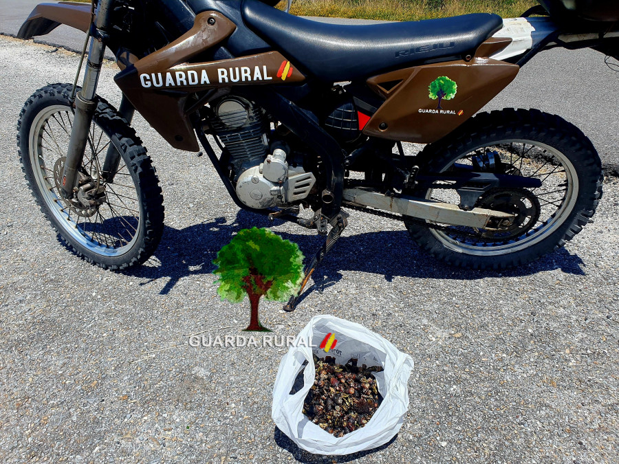 La Guardia Rural decomisó unos ocho kilos de percebe en Corme en el último trimestre