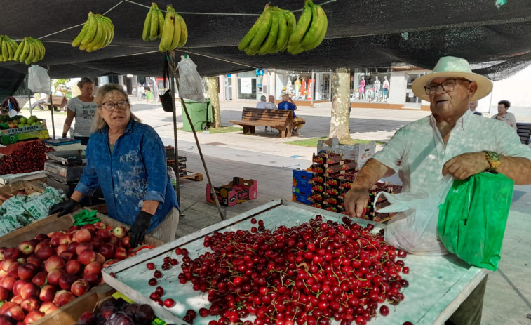 Las cerezas alcanzan precios de hasta ocho euros el kilo en la feria de Carballo