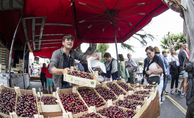 Comercializadas 8,7 toneladas en la Feira das Cereixas de Paiosaco