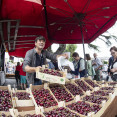 Feira das cereixas 016