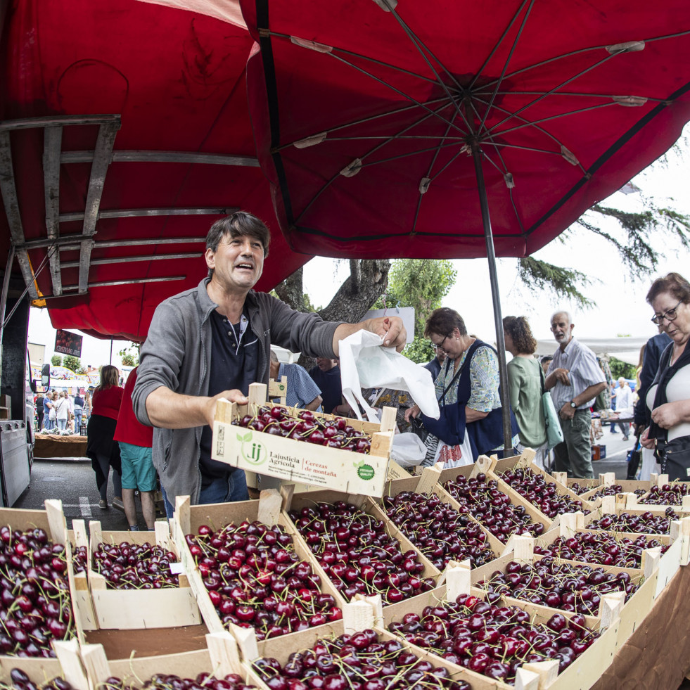 Comercializadas 8,7 toneladas en la Feira das Cereixas de Paiosaco