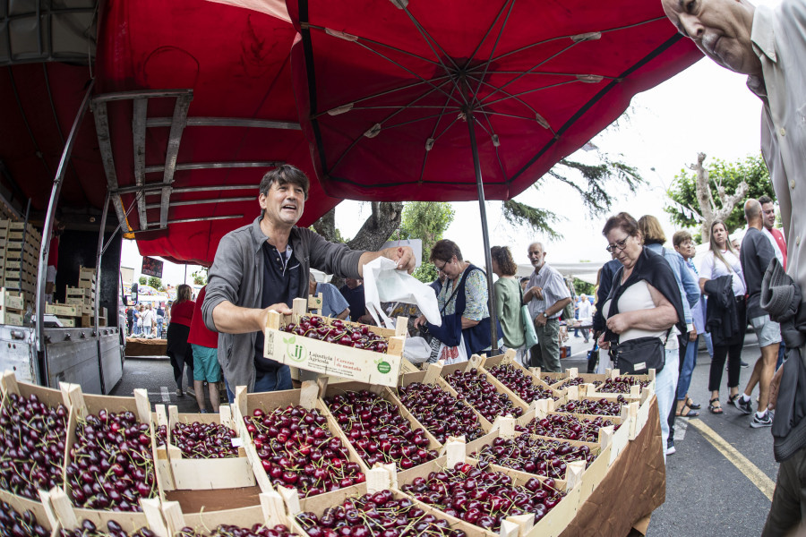 Comercializadas 8,7 toneladas en la Feira das Cereixas de Paiosaco