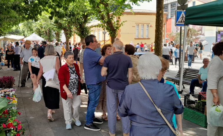 Amplia oferta de patatas de Coristanco y Carballo en la feria hasta en 1,80 euros el kilo