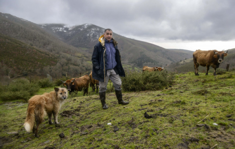Organizaciones agrarias rechazan “desmantelar” la PAC y cifran el recorte en 77 millones al año para Galicia