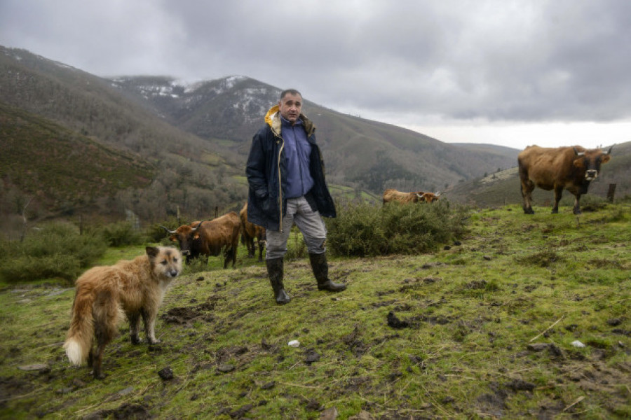 Organizaciones agrarias rechazan “desmantelar” la PAC y cifran el recorte en 77 millones al año para Galicia