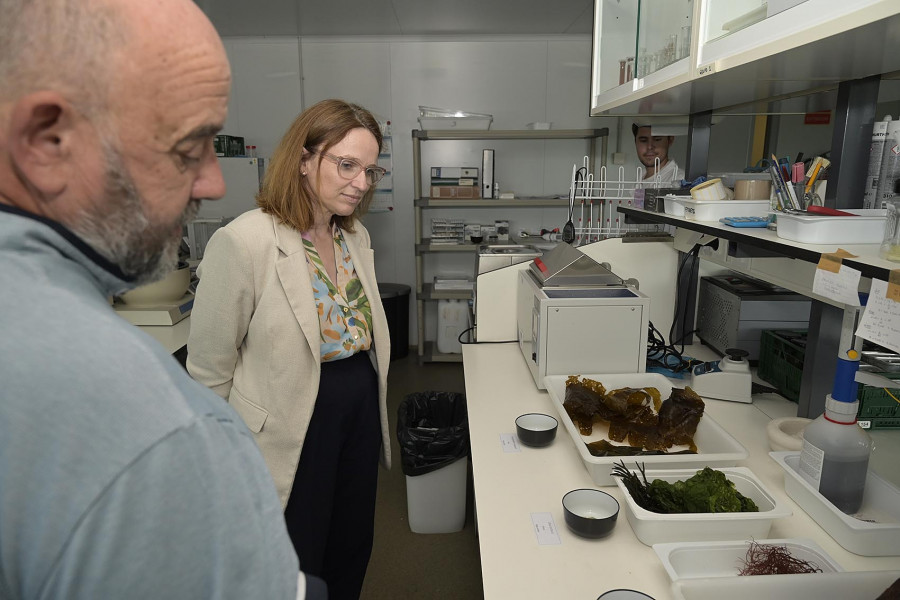 Abierto el plazo de ayudas de la Xunta para la contratación de estudiantes que preparan su tesis doctoral industrial