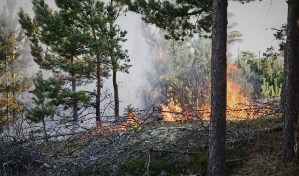 Extinguido el incendio forestal de Lalín tras quemar 83 hectáreas