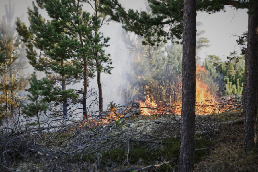 Extinguido el incendio forestal de Lalín tras quemar 83 hectáreas