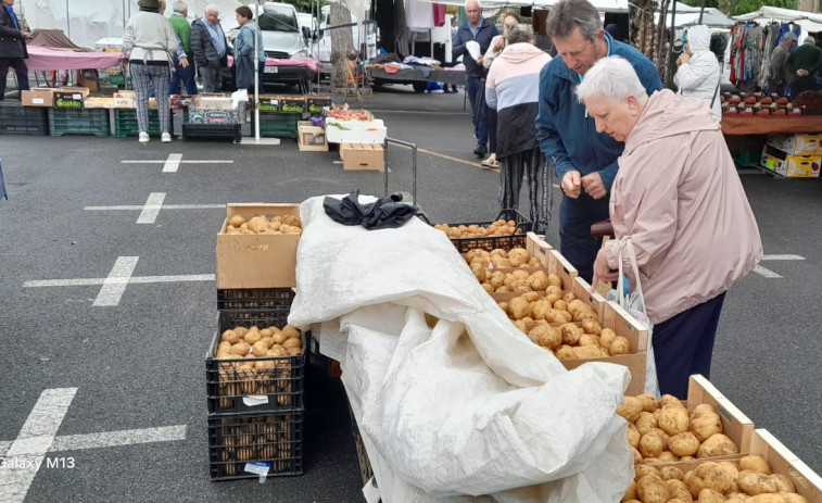 La patata nueva de la comarca, protagonista en la feria de Paiosaco