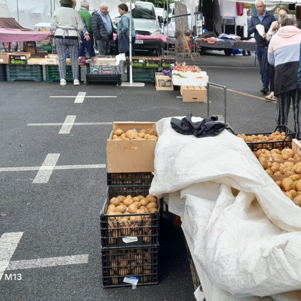 La patata nueva de la comarca, protagonista en la feria de Paiosaco