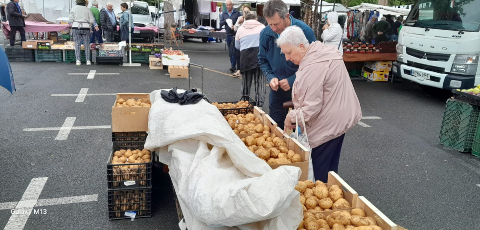 La patata nueva de la comarca, protagonista en la feria de Paiosaco
