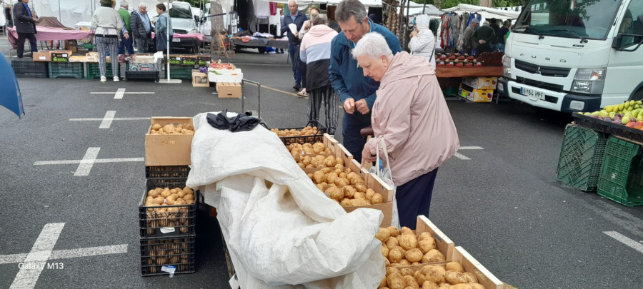 La patata nueva de la comarca, protagonista en la feria de Paiosaco