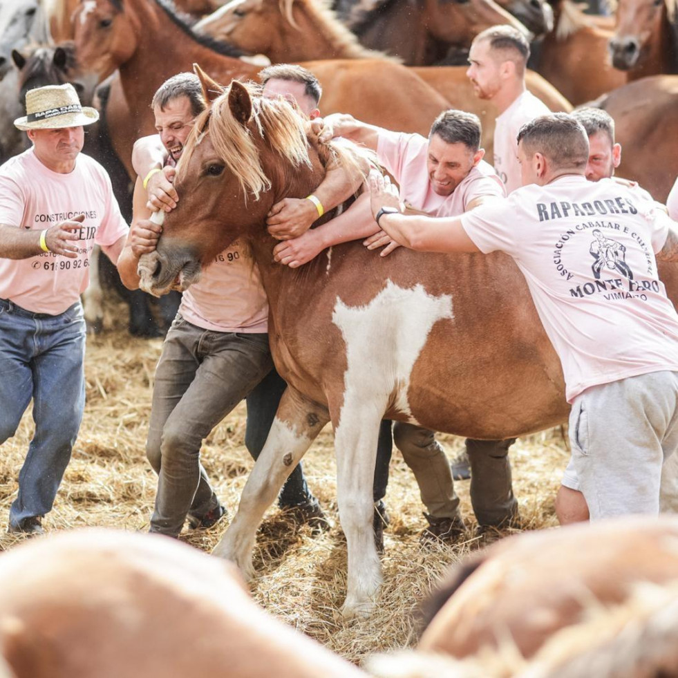 Hombres y mujeres miden de nuevo sus fuerzas con los caballos en la Rapa de Vimianzo