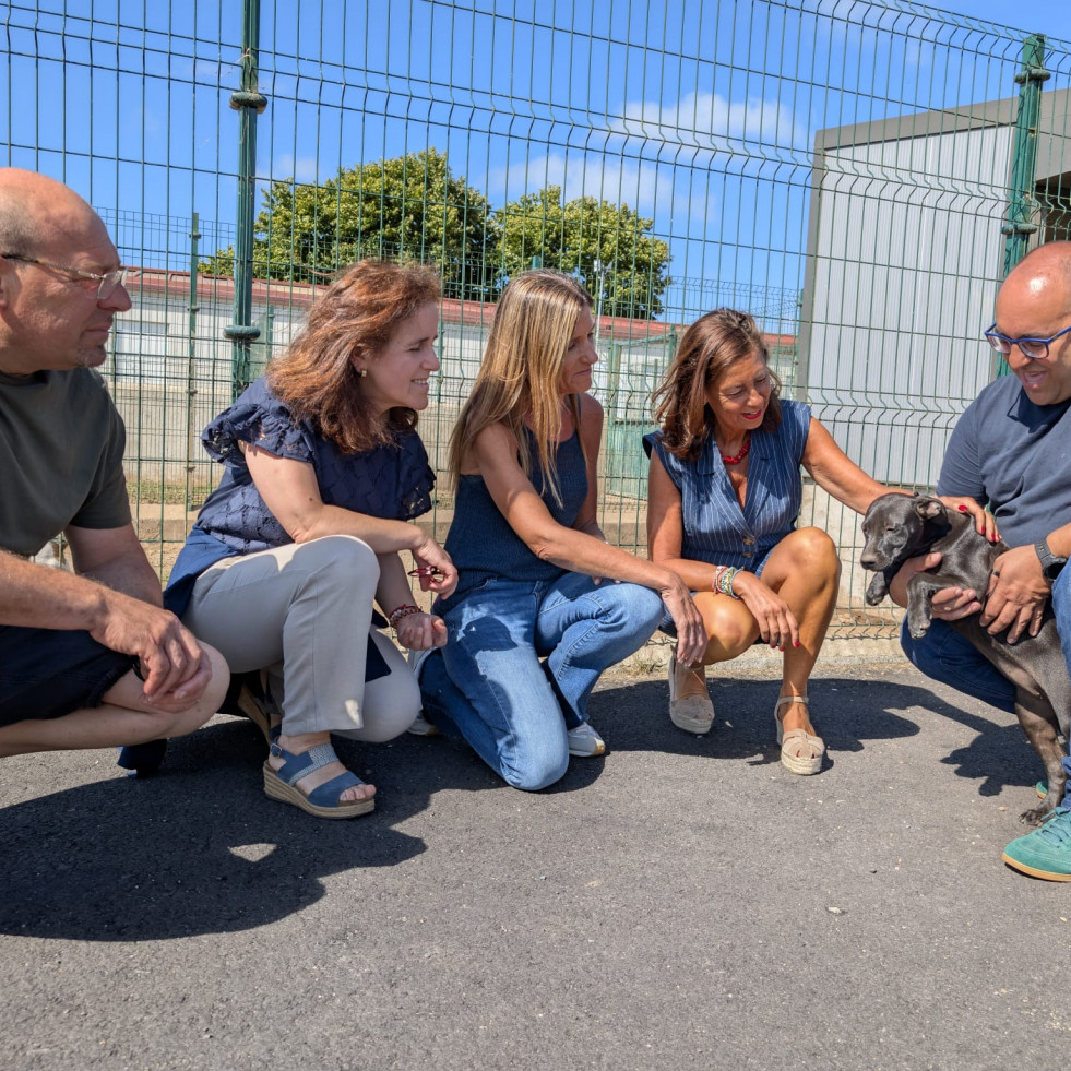 La Xunta y XEA estudian vías de colaboración para el bienestar de los animales