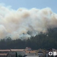 IncendioBergan