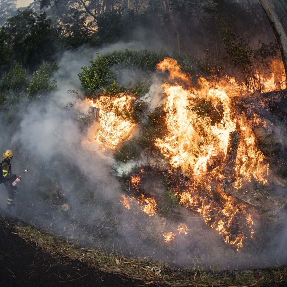Detienen a una mujer de Carballo en relación con once incendios forestales
