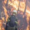 Incendio 023
