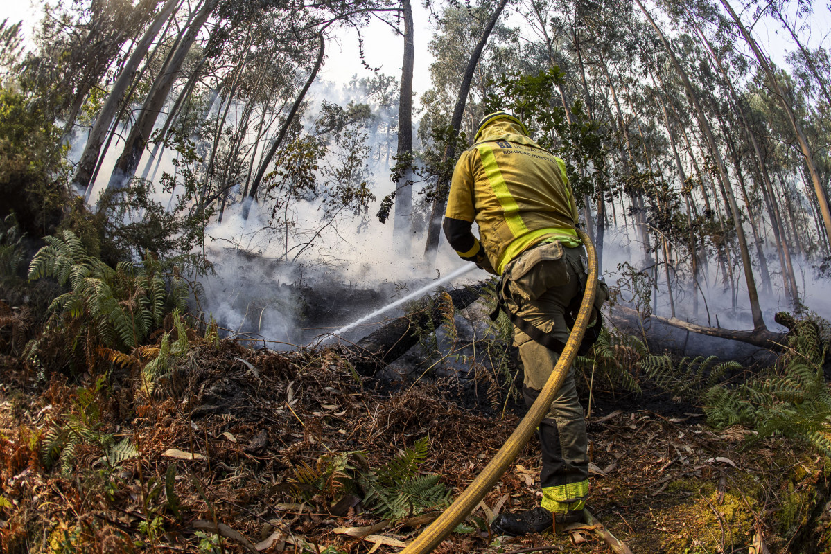 Incendio 016