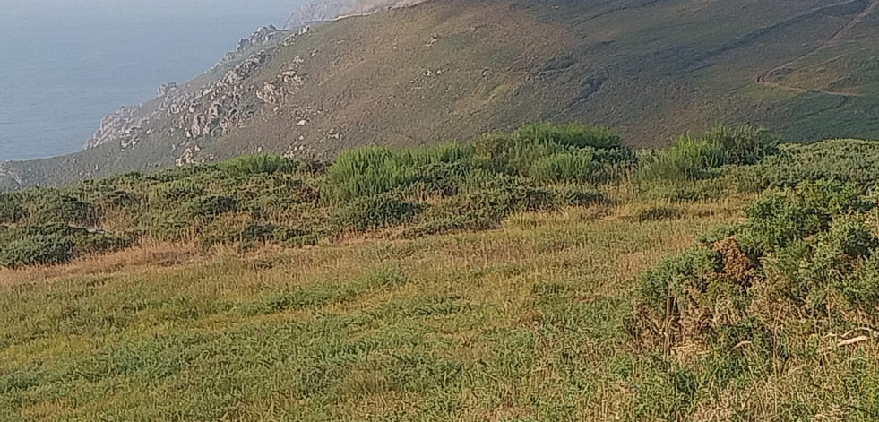 Incendio forestal en O Monte da Nave de Fisterra