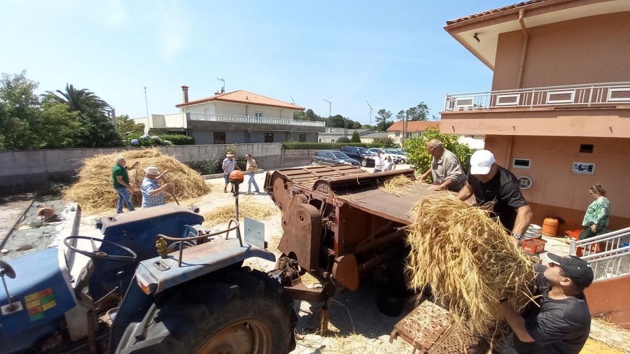 Vecinos de Bamiro recuperan la labor de la "malla" en el campo