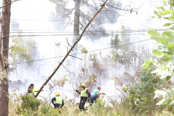 Trabajando en la zona afectada