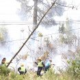 Trabajando en la zona afectada