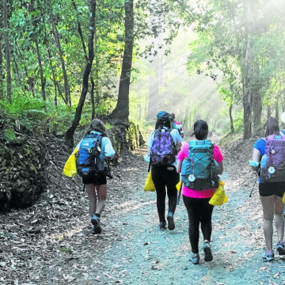 Caminodesantiagocol 20394735 1