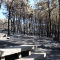 Fuego en corme