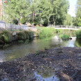 Rio anllons carballo