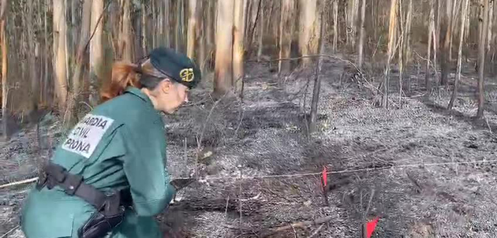 Investigan a una mujer por cinco incendios forestales en Muxía