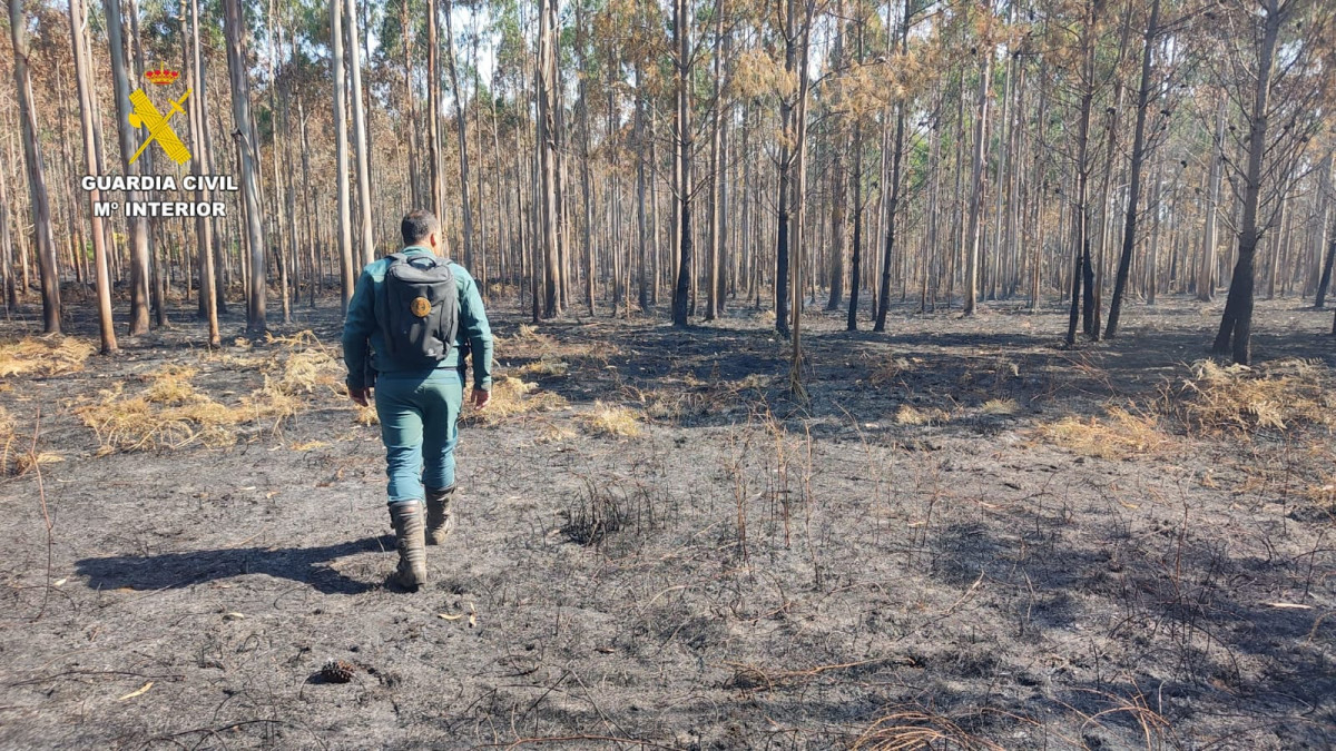 Investigaciu00f3n incendios Laxe 4