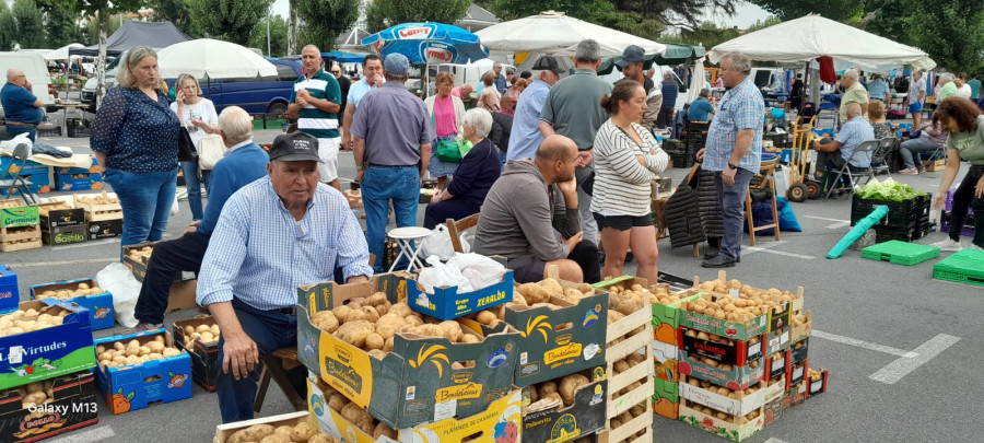 Las fiestas merman las ferias de Paiosaco y Baio y aplazan la de Cee