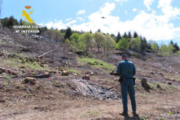 Incendio forestal