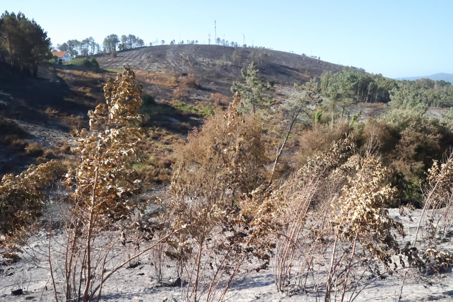 El BNG pide medidas para evitar la erosión de los montes quemados por los incendios en Ponteceso
