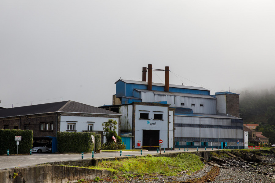 Xeal producirá una aleación de cromo y ferrosilicio en su planta de Cee