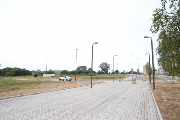 A brana carballo
