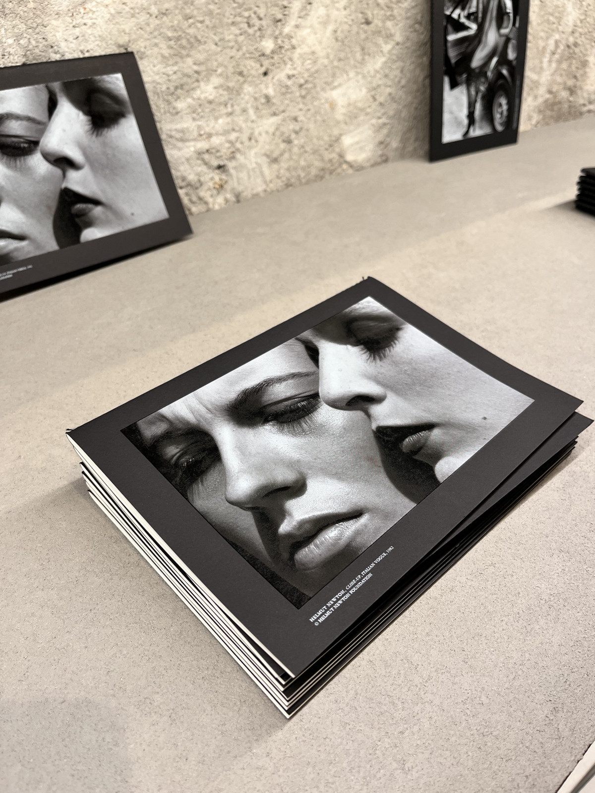Libretas Helmut Newton 